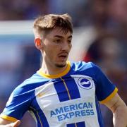 Billy Gilmour in action for Brighton